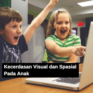 Kecerdasan Visual dan Spasial pada anak
