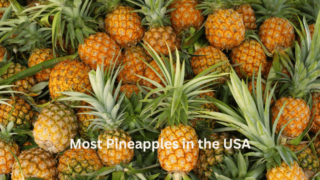 Most Pineapples in the USA