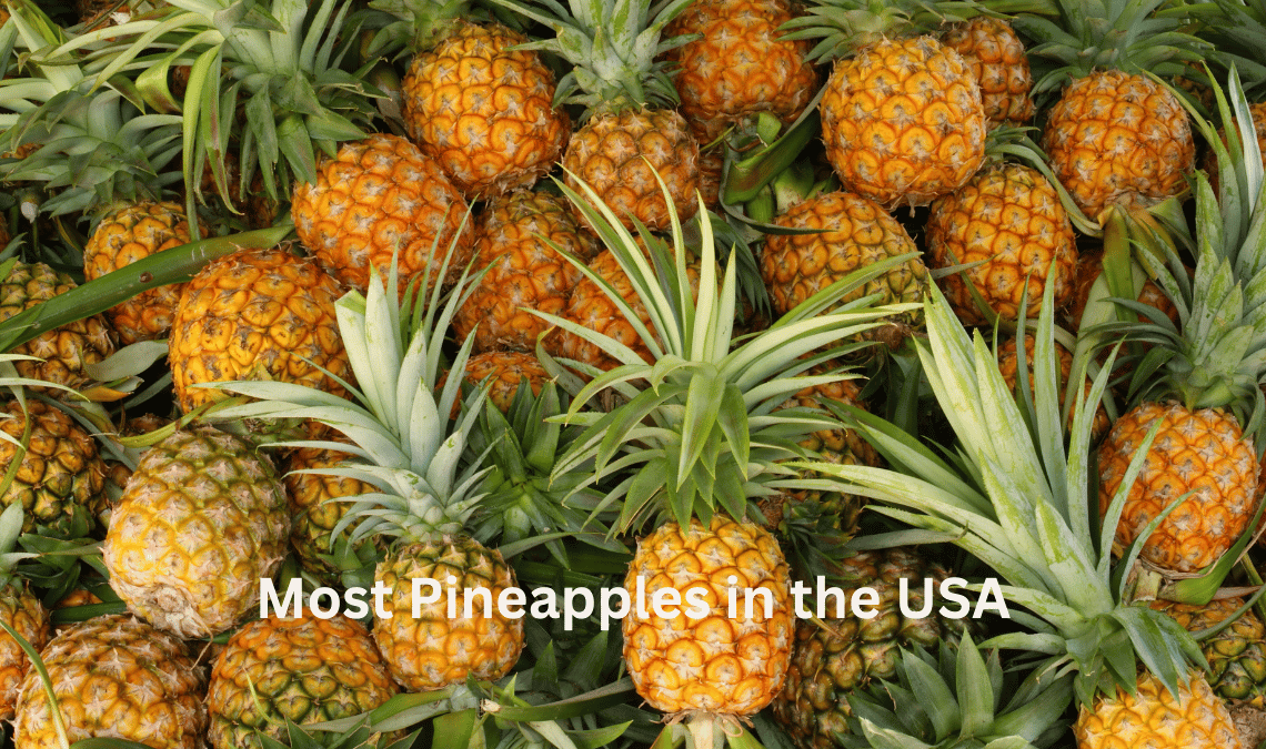 Most Pineapples in the USA